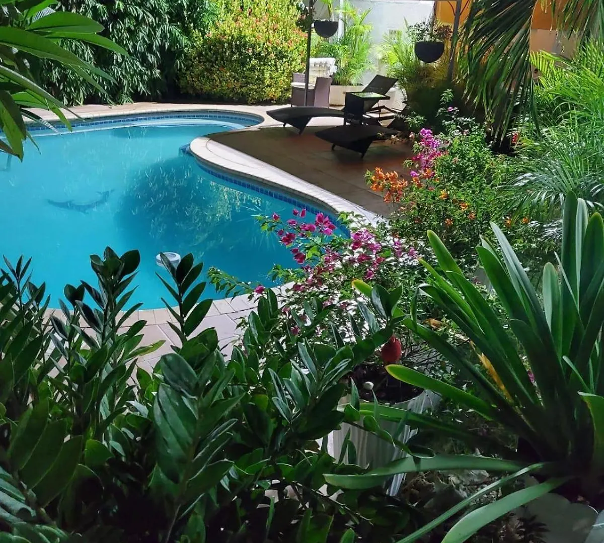 Rdr Apartments Santa Catharina